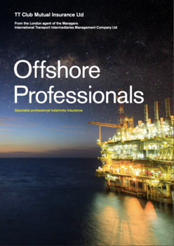 Offshore Professional Fact Sheet - US