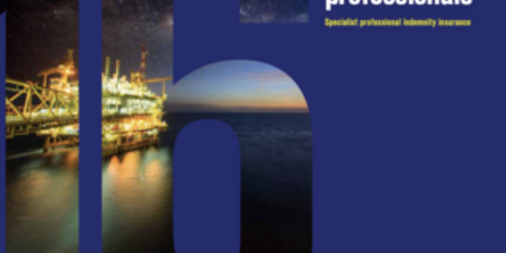 Offshore Professional Fact Sheet - US