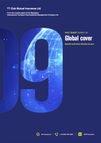 General ITIC Fact Sheet - US