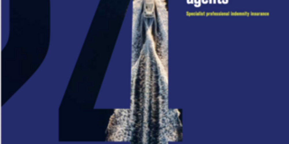 Superyacht Agent Fact Sheet - US