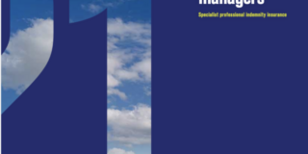Ship Managers Fact Sheet - US