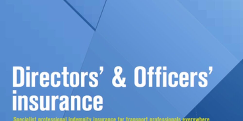 Directors' and Officers' insurance fact sheet - US