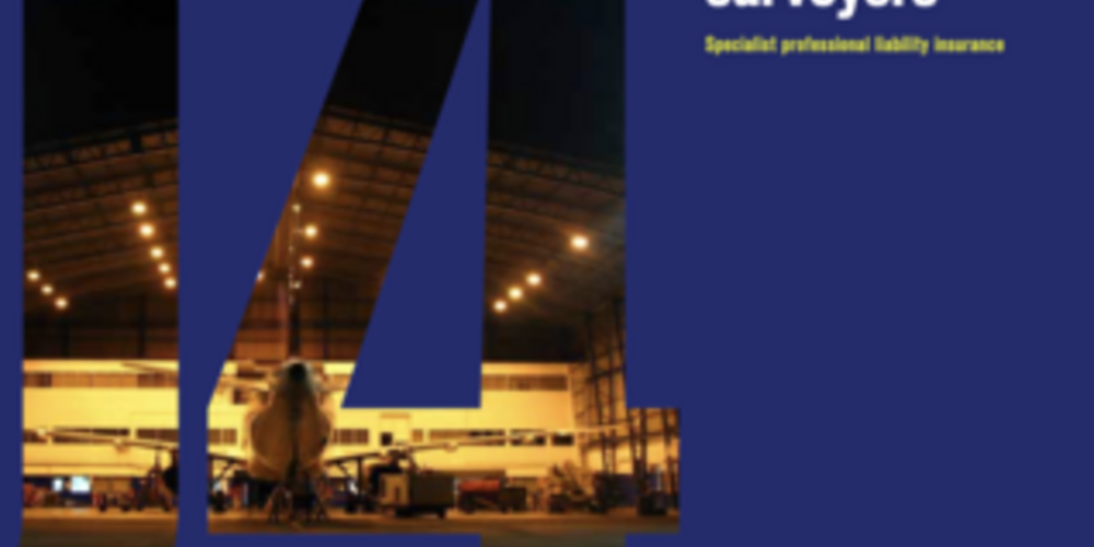Aviation Aircraft Surveyors Fact Sheet - US