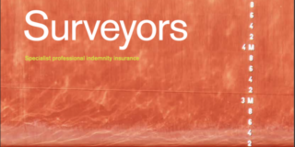 Marine Surveyors Fact Sheet - US
