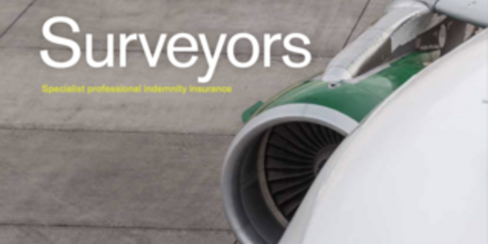 Aviation Aircraft Surveyors Fact Sheet - US