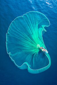 Fishing for answers: When a faulty survey nets a claim