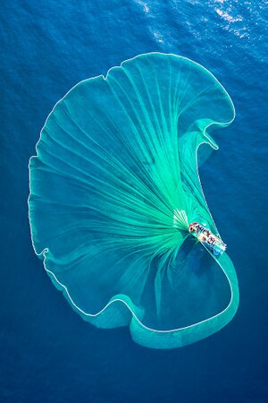 Fishing for answers: When a faulty survey nets a claim