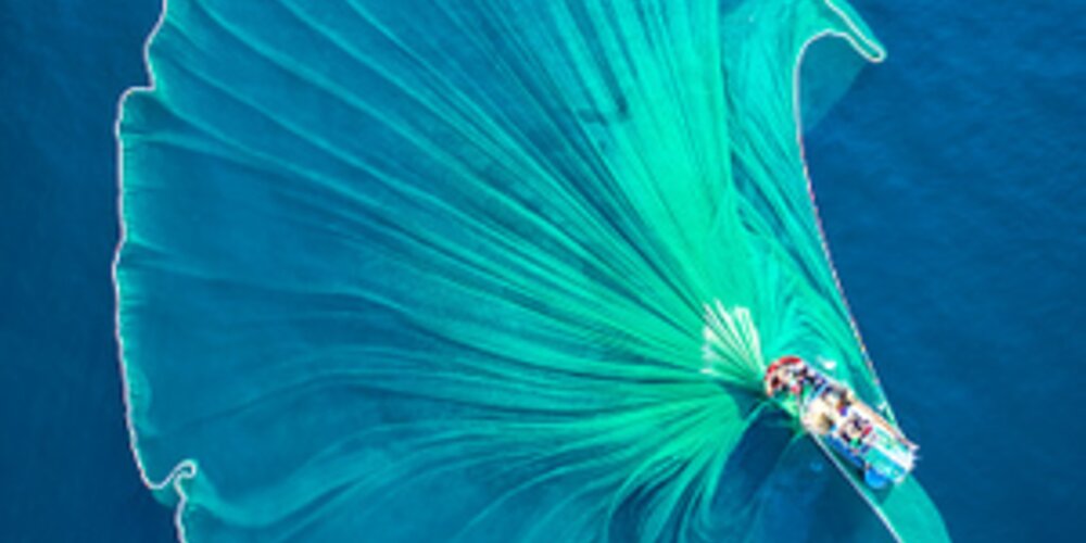 Fishing for answers: When a faulty survey nets a claim