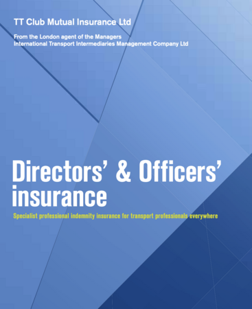Directors' & Officers' insurance fact sheet - US