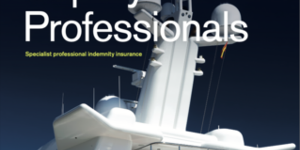 Superyacht professionals
