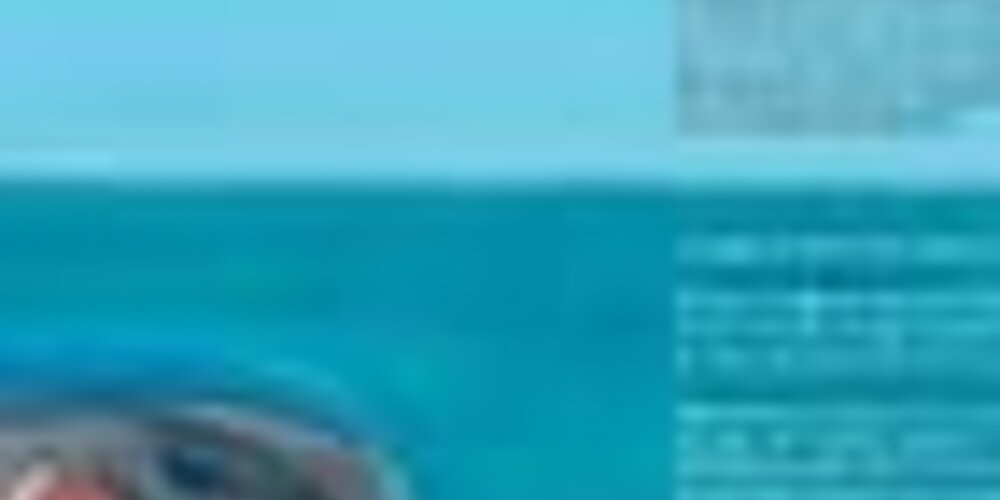 Latest Claims Review