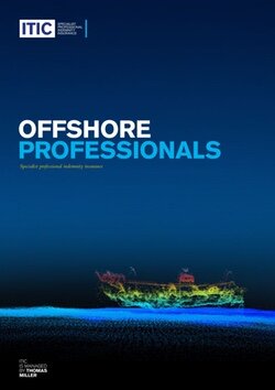 Offshore professionals