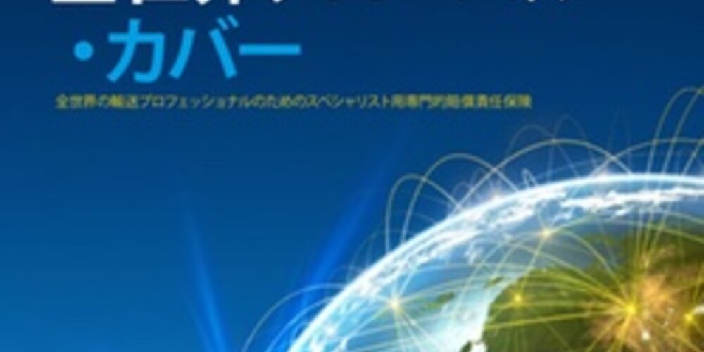 ITIC Fact Sheet (Japanese)