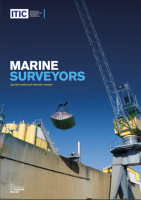Marine surveyors fact sheet - Australia & US