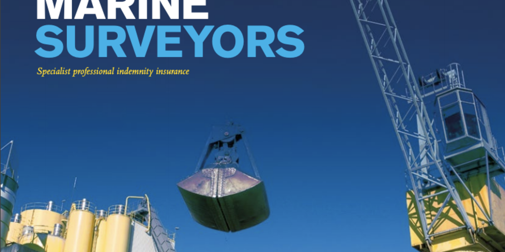 Marine surveyors fact sheet - Australia & US