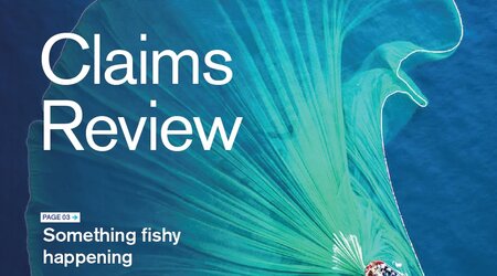 Claims Review 45