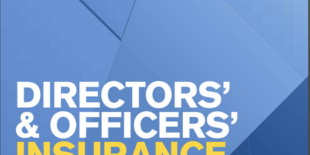 Directors' and Officers' insurance fact sheet - US