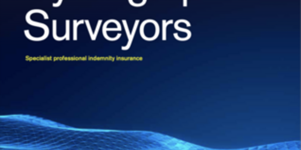 Hydrographic surveyors