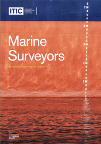 Marine surveyors
