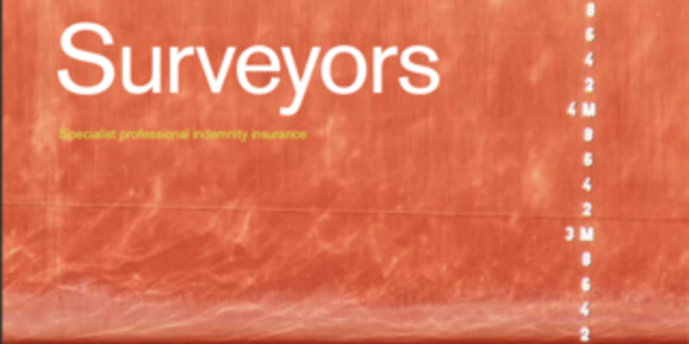 Marine Surveyors