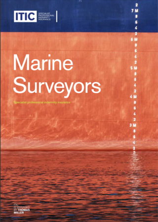 Marine Surveyors