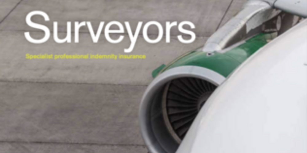 Aircraft Surveyors