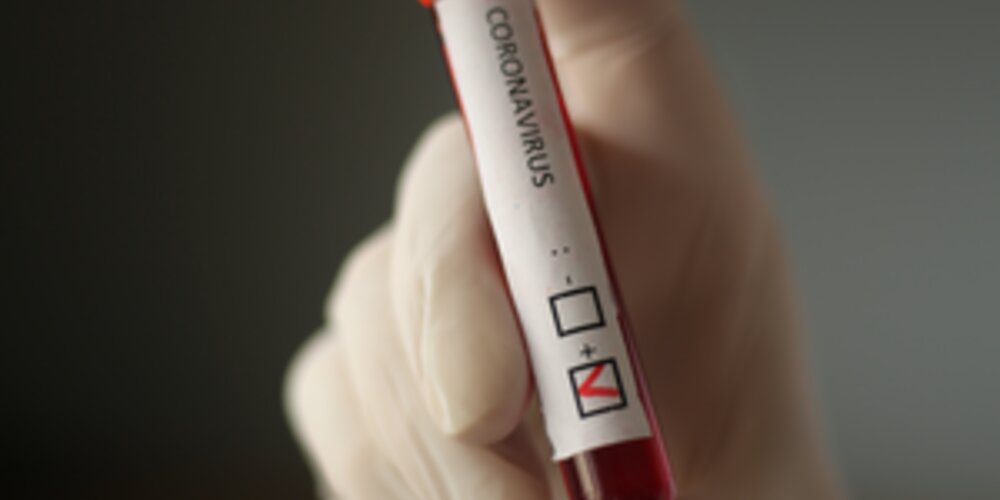 Ship Management International column - Read all about it!